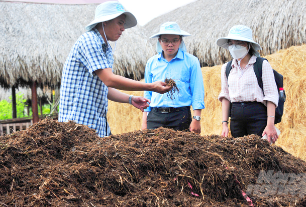 Straw Organic Fertilizer Production Line: Turning Agricultural Waste into Valuable Fertilizer