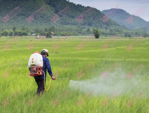 Discover the Simplicity of the Easy Liquid Fertilizer Production Process