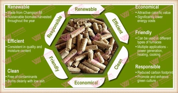 biomass pellet production line