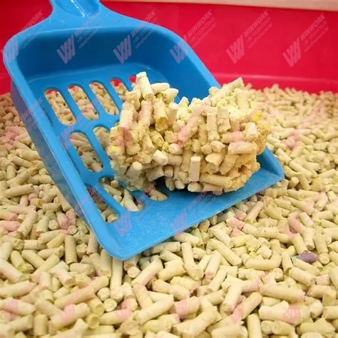 Corn Cat Litter Production Line in Australia: How Manufacturers Improve Efficiency by 30%