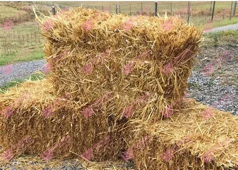 Crop Straw Organic Fertilizer Production Line