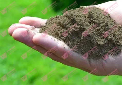 Customized Organic Fertilizer Equipment: 5 guidance You Need to Know