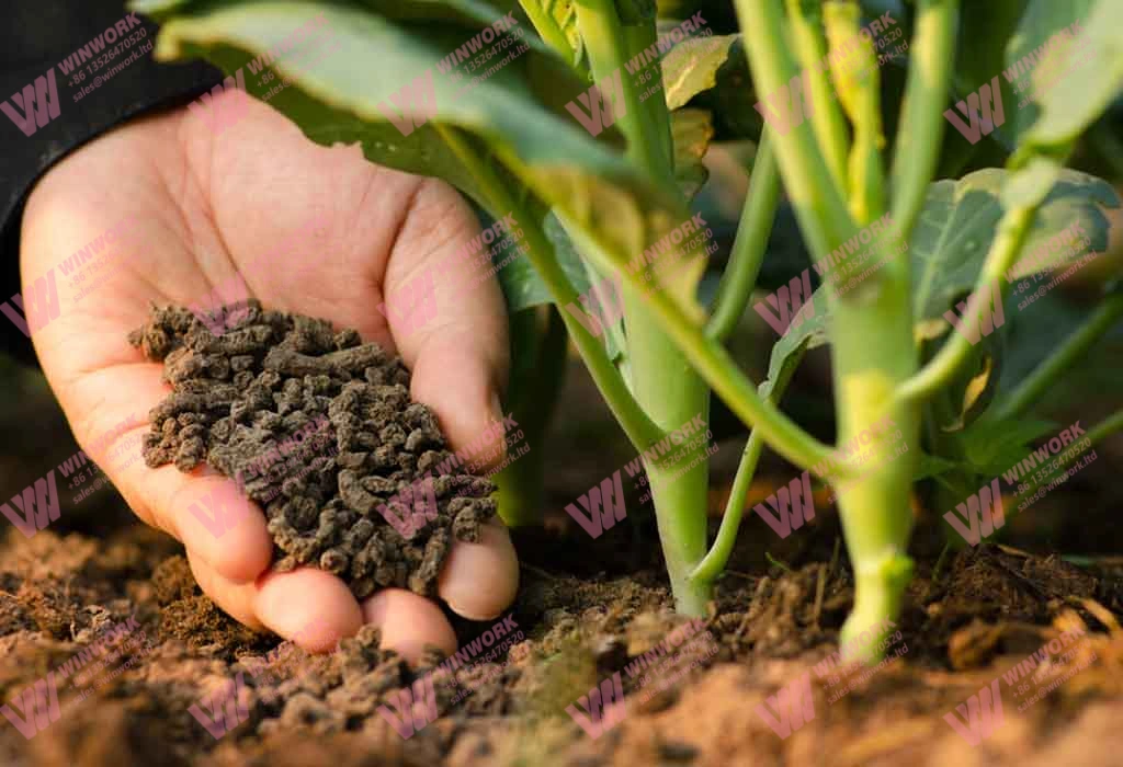 5 reasons why organic fertilizers are key to transforming agriculture