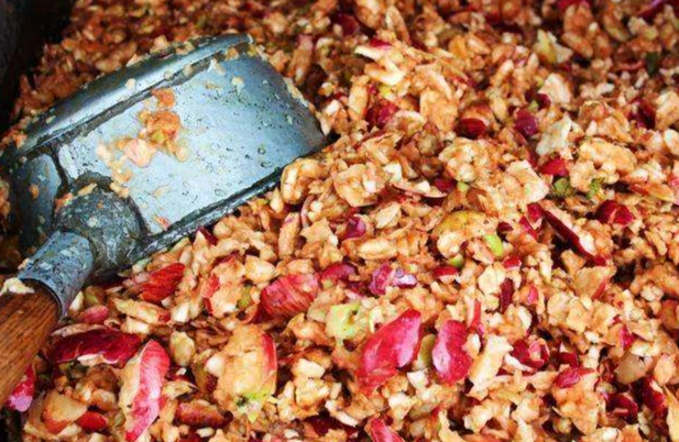 fruit peel and pomace liquid fertilizer production line