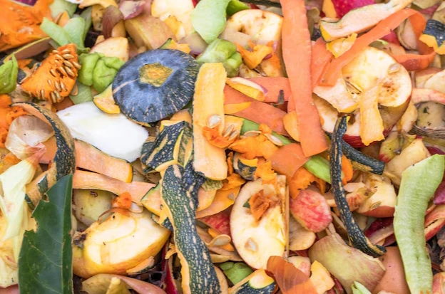 Don’t Let Fruit Waste Go to Waste: Why a Fruit Peel and Pomace Liquid Fertilizer Production Line Is Worth Considering