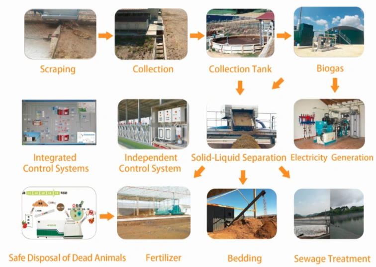 Automated Manure Management System