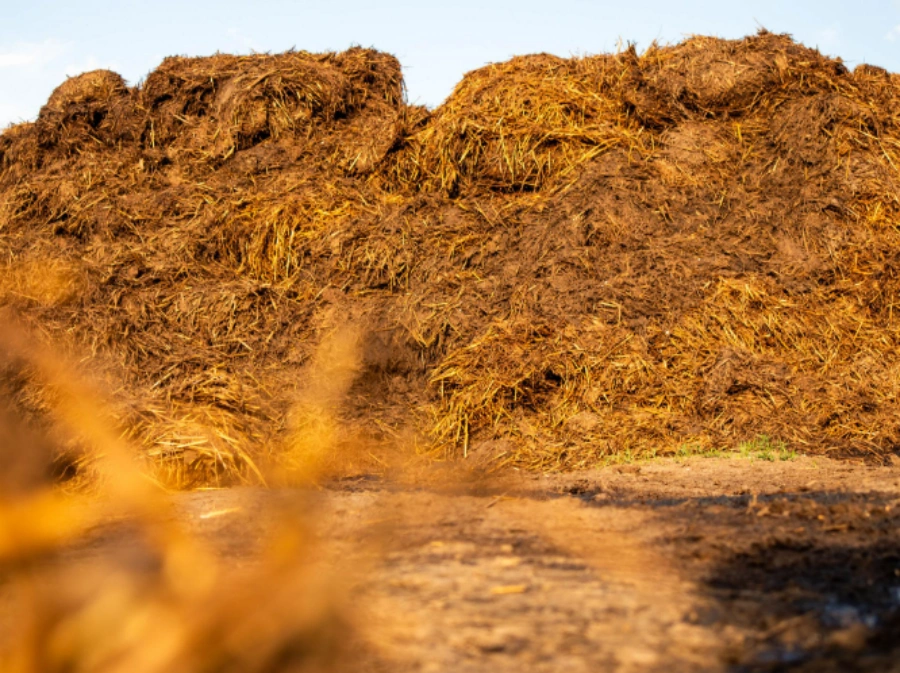 bio organic fertilizer india