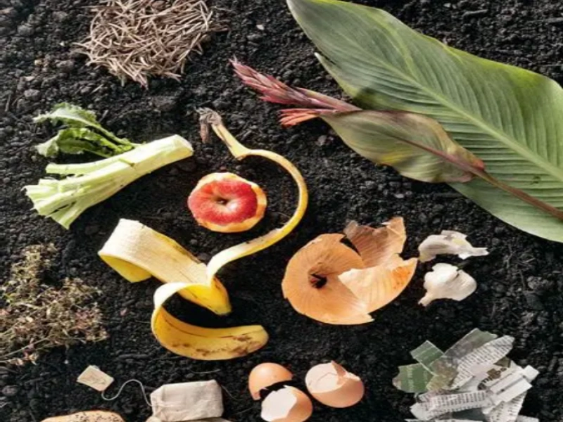 Black Gold Organic Garden Compost: A Practical Guide for American Gardeners