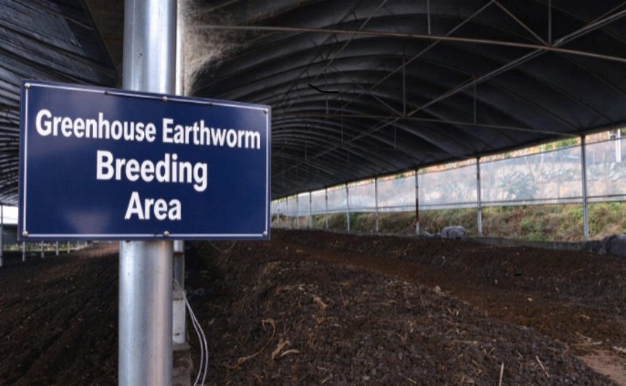 vermicomposting