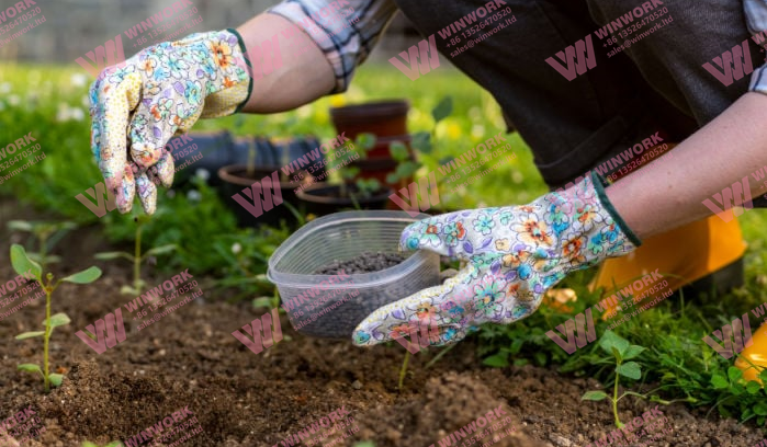Low-cost Organic Fertilizer Production Line: How I Started Small With Chicken and Cow Manure