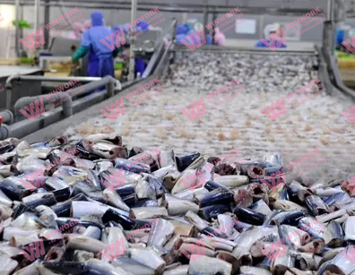 How a Fish Waste Production Line Can Support Eco-Friendly Agriculture