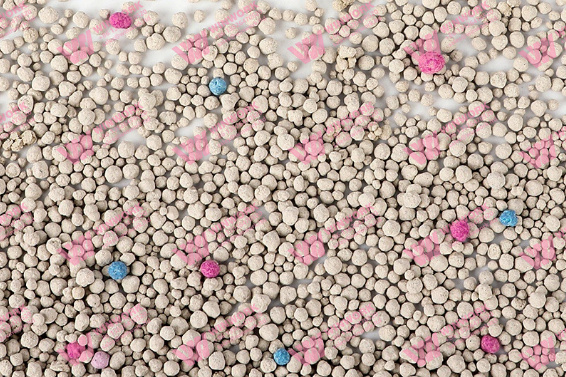 Sustainable Cat Litter Production: Eco-Friendly Innovation for a Greener Pet Industry