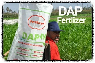 6 Steps to Select DAP Fertilizer Manufacturing Equipment for Your Plant