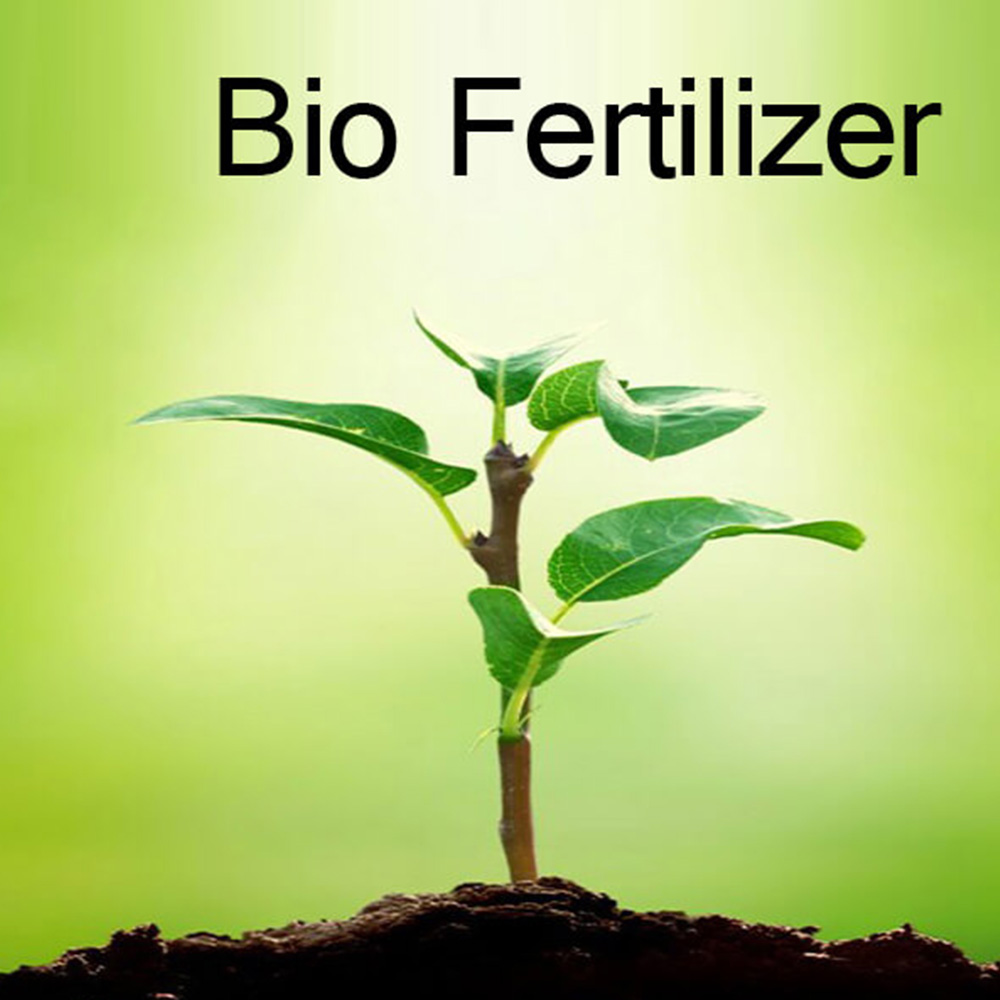 Sheep Manure Fertilizer Production Process for Small and Medium Organic Fertilizer Projects