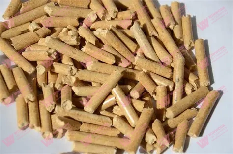 Wood Cat Litter Manufacturing Equipment: 7 Essential Machines and How They Work