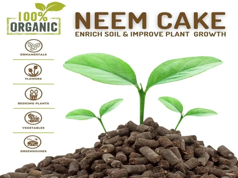 Neem Cake Organic Fertilizer: Natural Doesn’t Automatically Mean Better