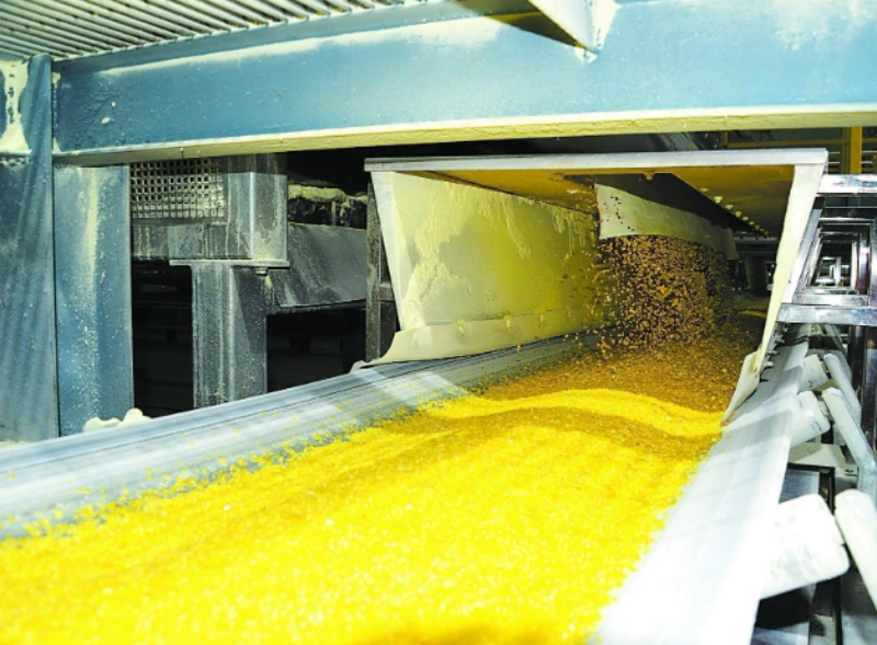 Sulfur Granulation Production Line: From Elemental Sulfur to Agricultural Granules